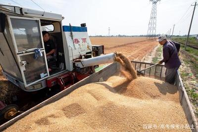 我国首个农业GDP产值超万亿省份出炉!非河南、黑龙江,而是它!